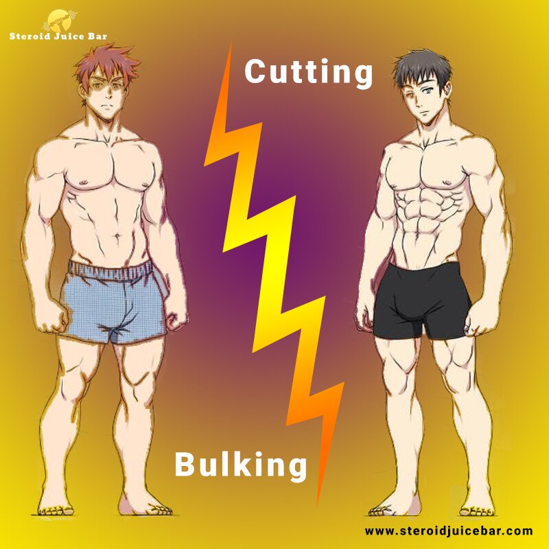 bulking and cutting